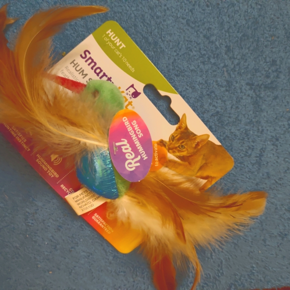 Cat toy